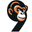 dashboard-4j3.pages.dev favicon